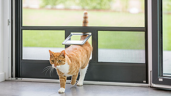 Neher Katzenklappe für Insektenschutztüren